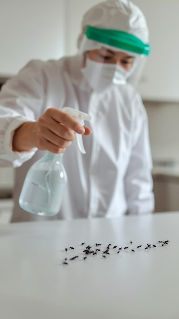 Rashtriya Chemical and Herbal Pest Control Service in Mumbai offers expert residential & commercial pest control with safe, herbal and eco-friendly solutions.